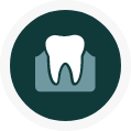 Icon of a tooth within the gums