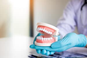 A dentist holding a set of dentures in their hands
